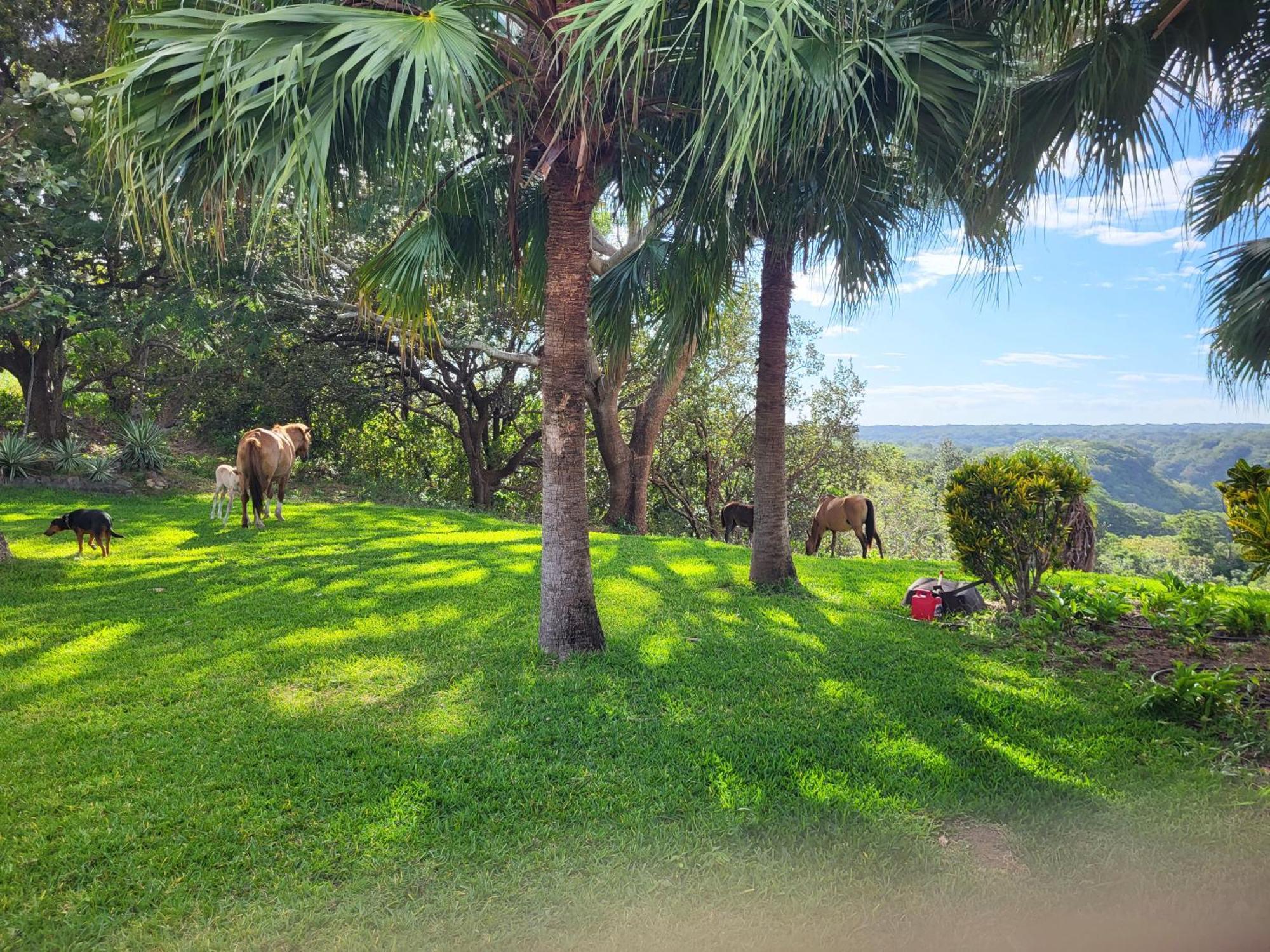 Guayabo  Hacienda En Los Volcanes المظهر الخارجي الصورة